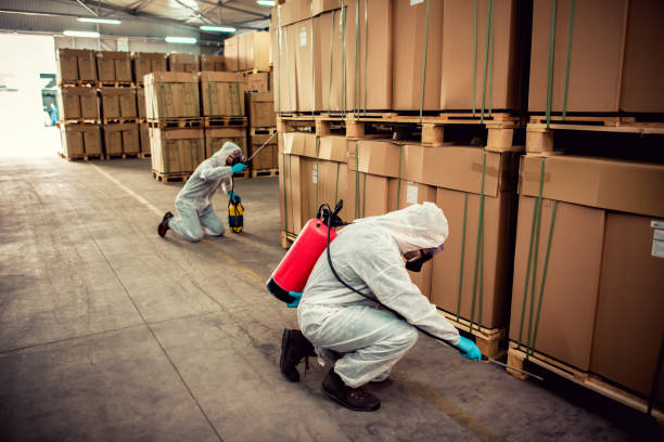 Best Pest Control Near Me in Denver, IA