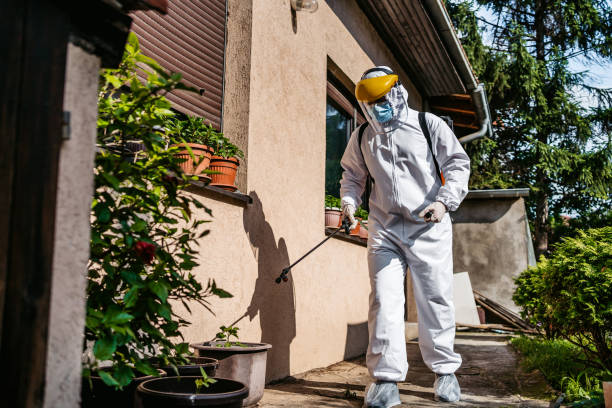 Best Mosquito Control Services  in Denver, IA