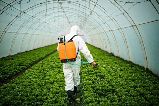 Best Affordable Pest Control Services  in Denver, IA