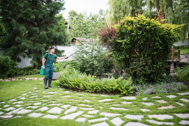 Best Emergency Pest Control  in Denver, IA