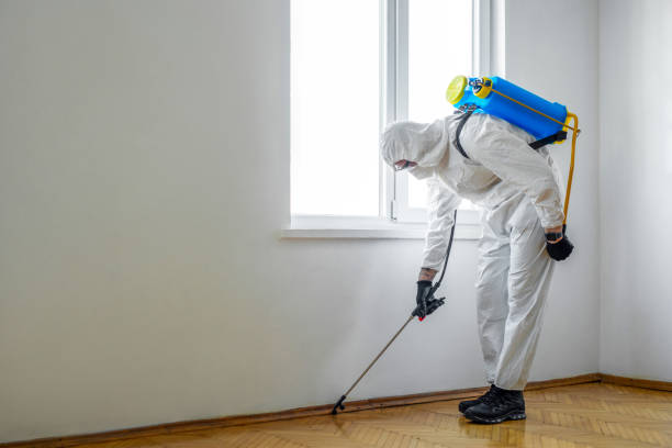 Pest Control Cost in Denver, IA