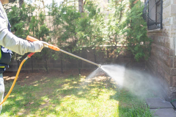 Best Pest Prevention Services  in Denver, IA