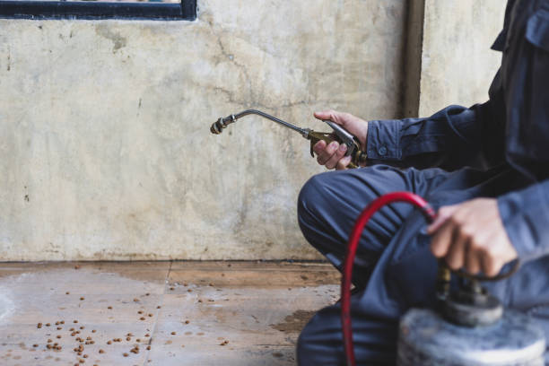 Best Pest Control Treatment  in Denver, IA